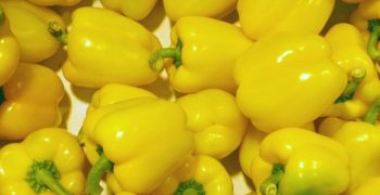 thicker beard yellow peppers