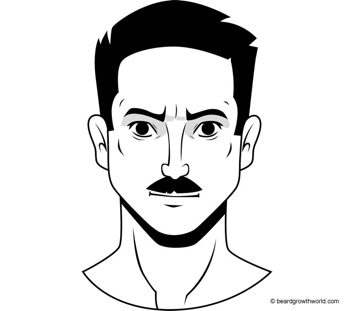 Copstash Standard Mustache Style