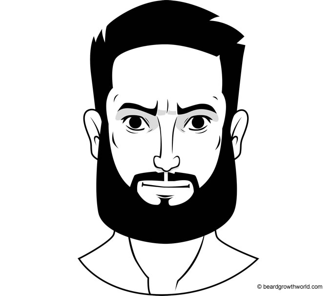Garibaldi beard style
