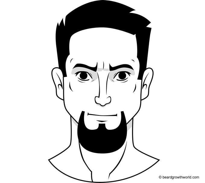 Goatee beard styles