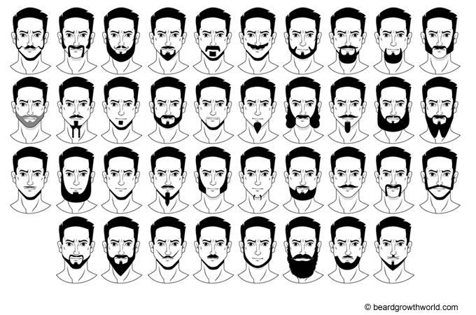 beard styles