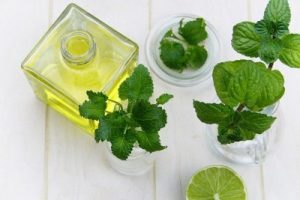 mint leaves and oil container